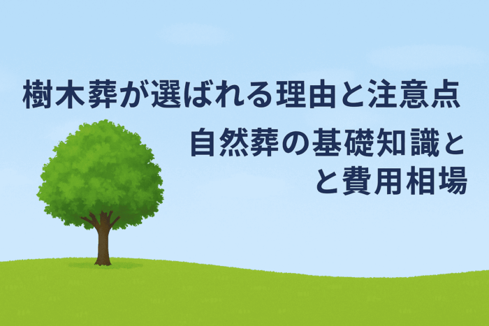 樹木葬が選ばれる理由と注意点｜自然葬の基礎知識と費用相場