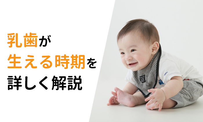 乳歯が生える時期を詳しく解説