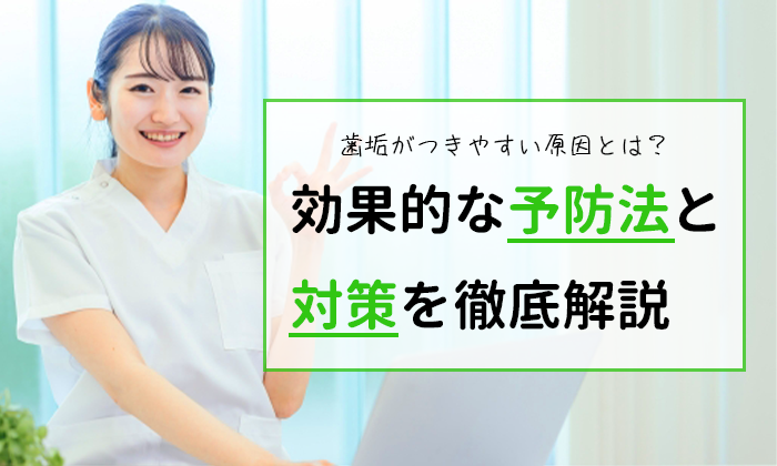 歯垢がつきやすい原因とは？効果的な予防法と対策を徹底解説