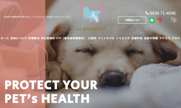 かねだ動物総合病院