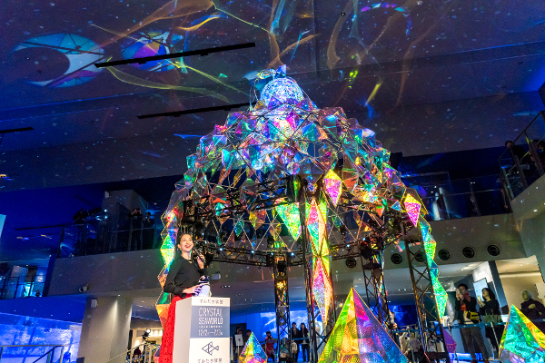 すみだ水族館もクリスマスの装い キラキラの海中体験 Tokyo Headline すみだ水族館もクリスマスの装い キラキラの海中体験 Tokyo Headline