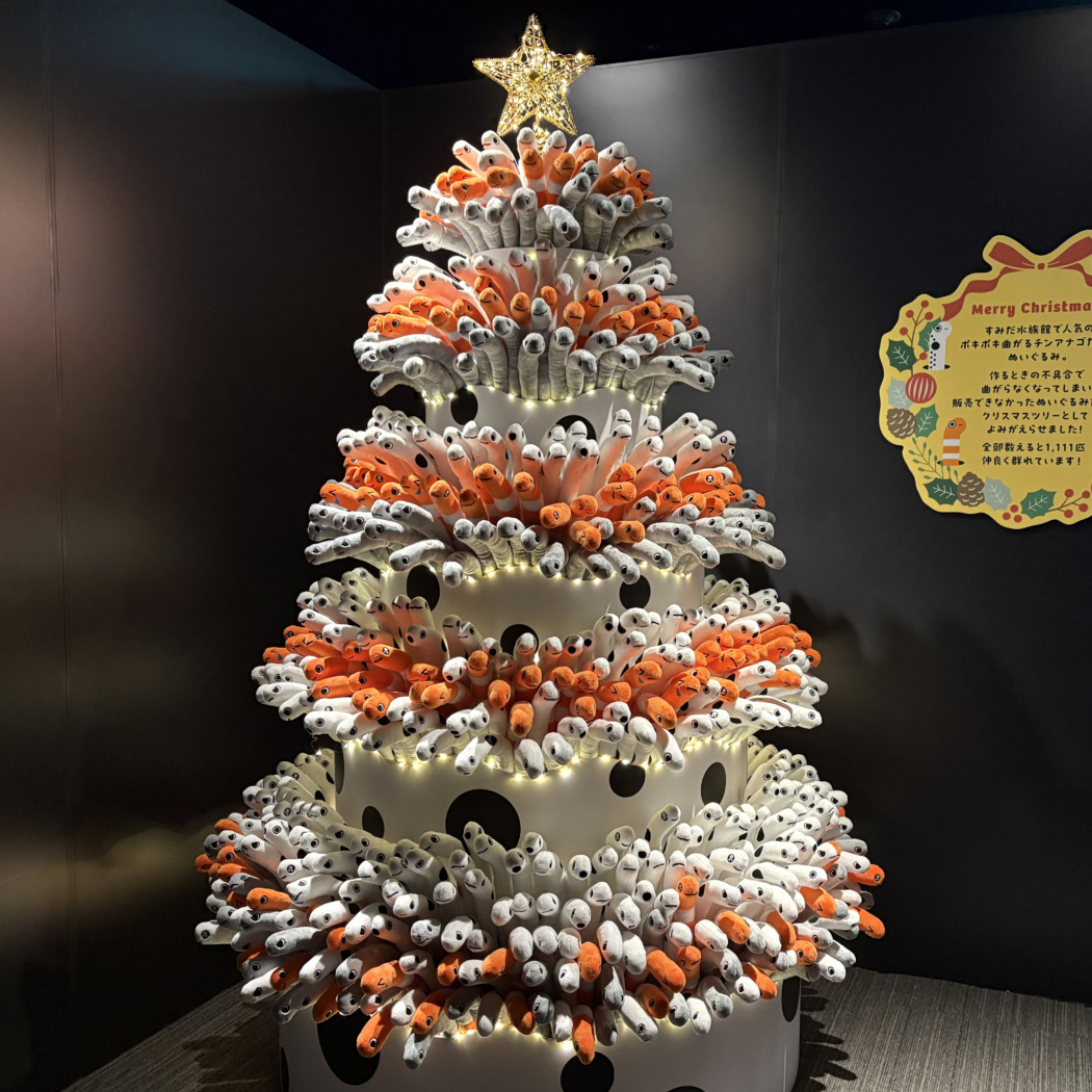 すみだ水族館にチンアナゴのクリスマスツリー登場 人気グッズを再利用