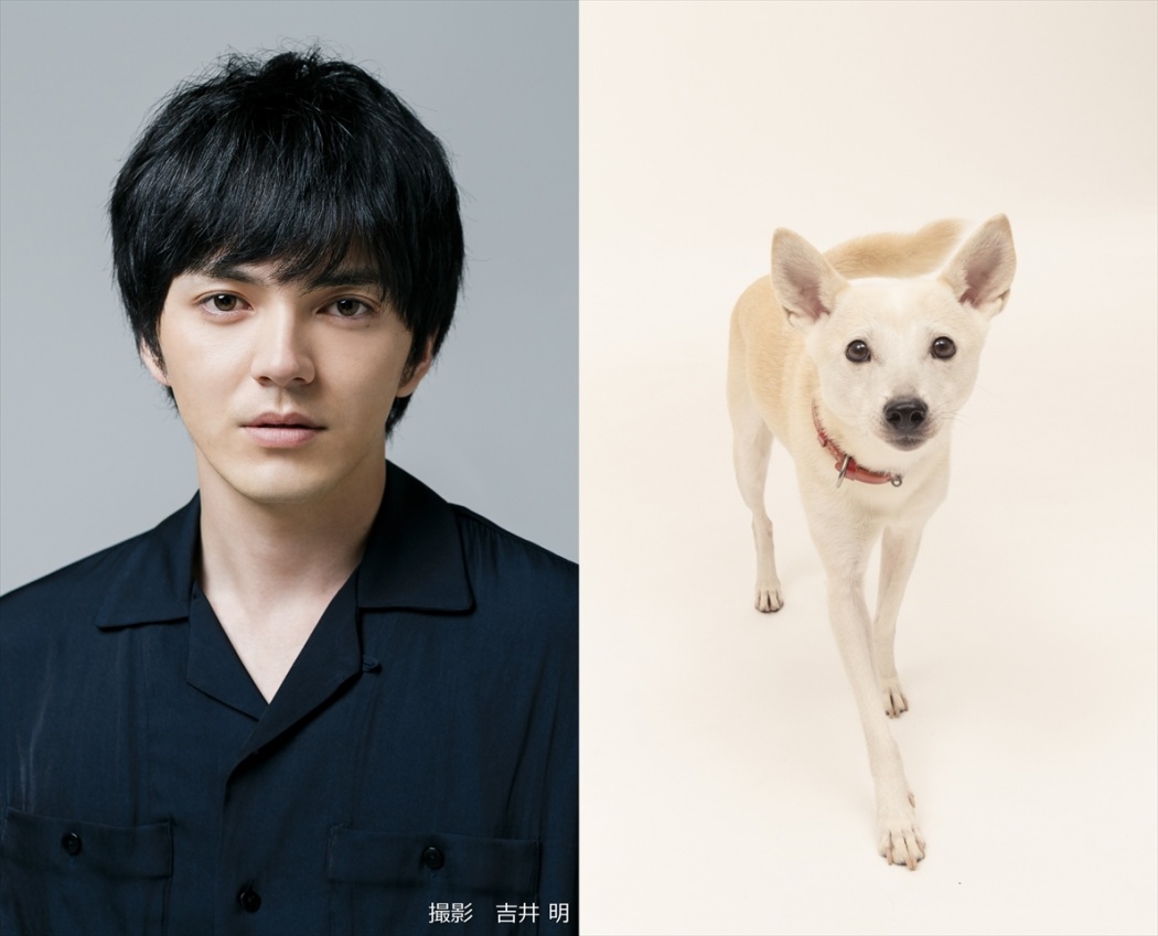 林遣都と中川大志が 犬バカ 役で動物たちの命と向き合う 映画 犬部 公開決定 Tokyo Headline