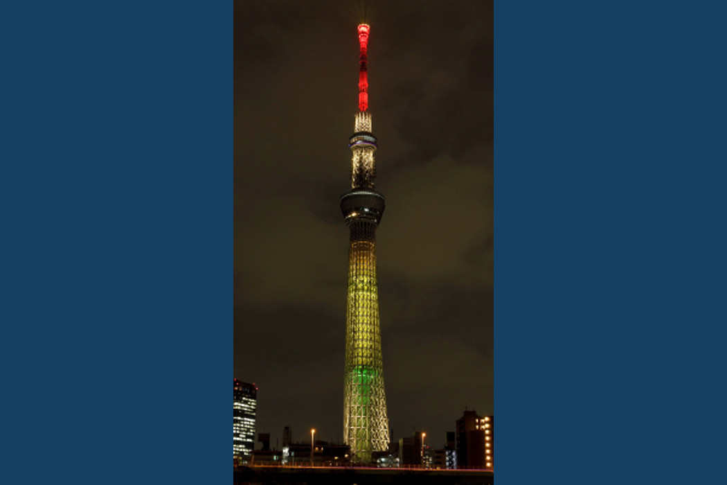 アップ 東京 スカイ ツリー ライト 桜橋・隅田公園の夜景（東京都台東区）