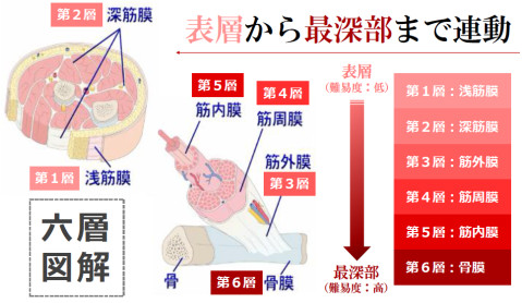テレワークで腰痛持ち 肩痛が増加 外科手術以上 の異名を誇る理学療法士がセルフケアを伝授 ページ 5 Tokyo Headline